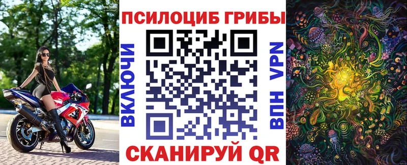 Псилоцибиновые грибы ЛСД  хочу наркоту  Краснознаменск 